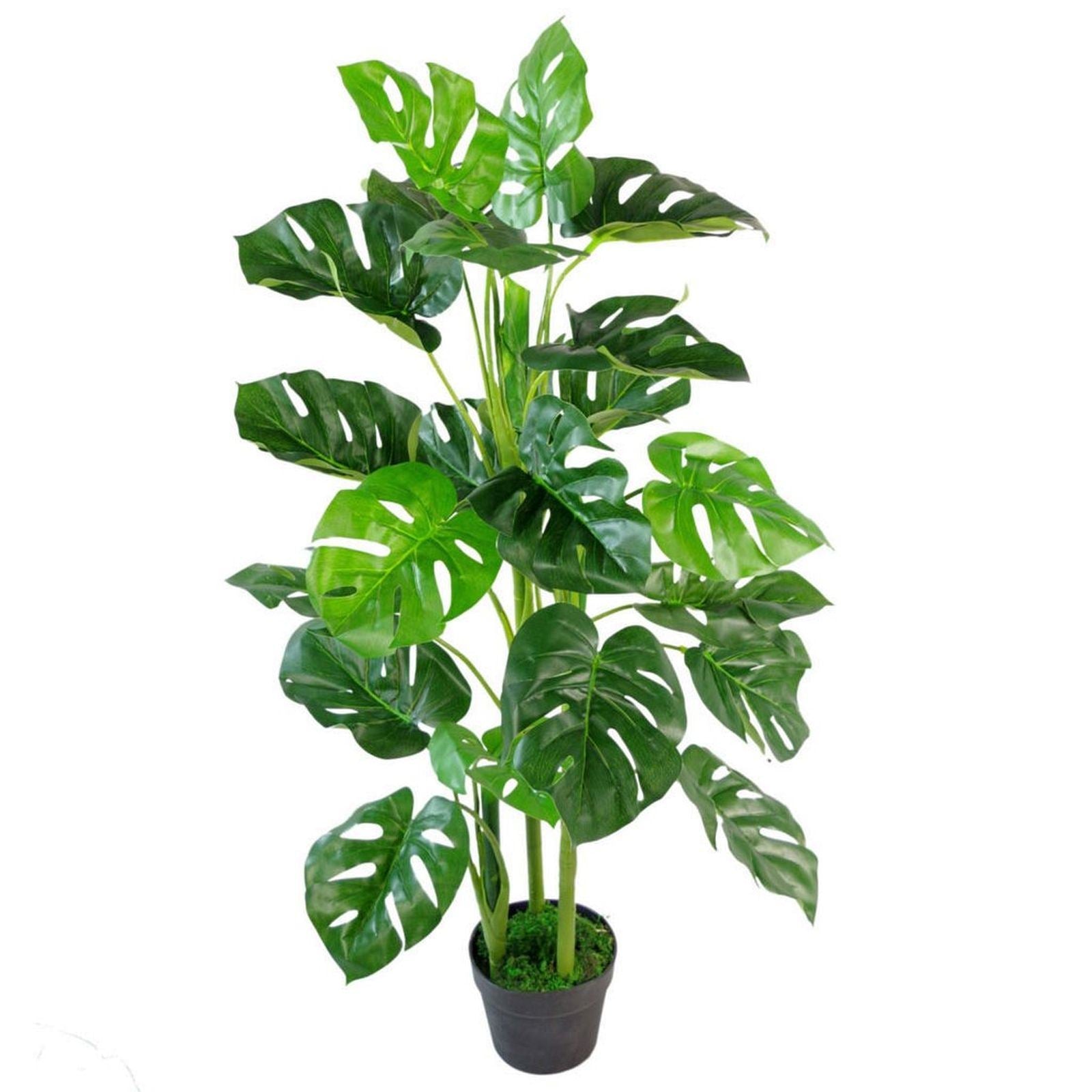 Artificial Monstera Cheese Plant 100cm Plants-0
