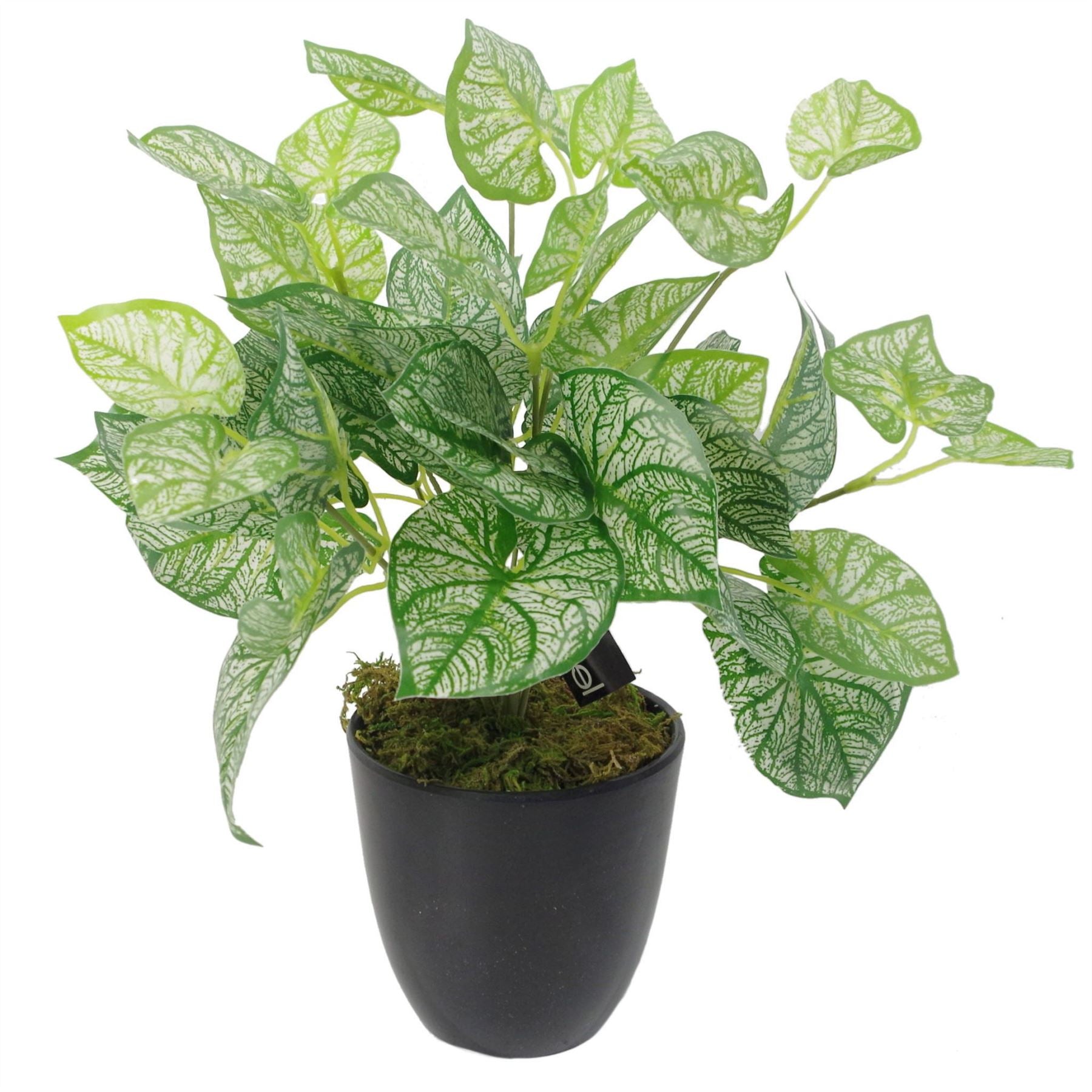 Artificial Fern Plant 40cm Araceae Plants-0