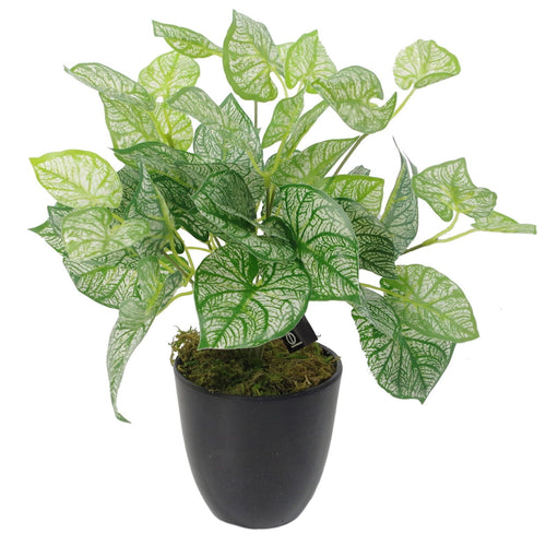 Artificial Fern Plant 40cm Araceae Plants-0