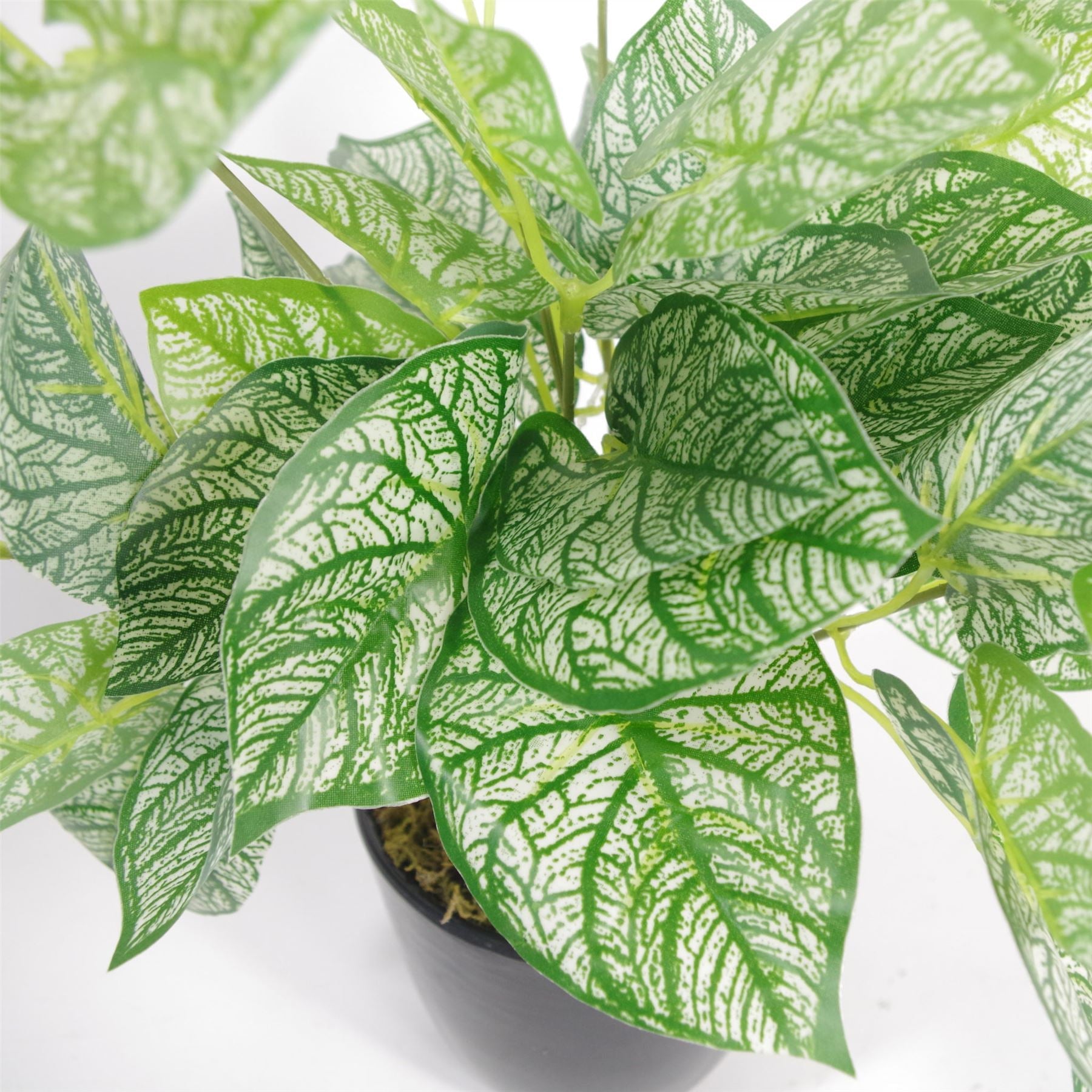 Artificial Fern Plant 40cm Araceae Plants-1