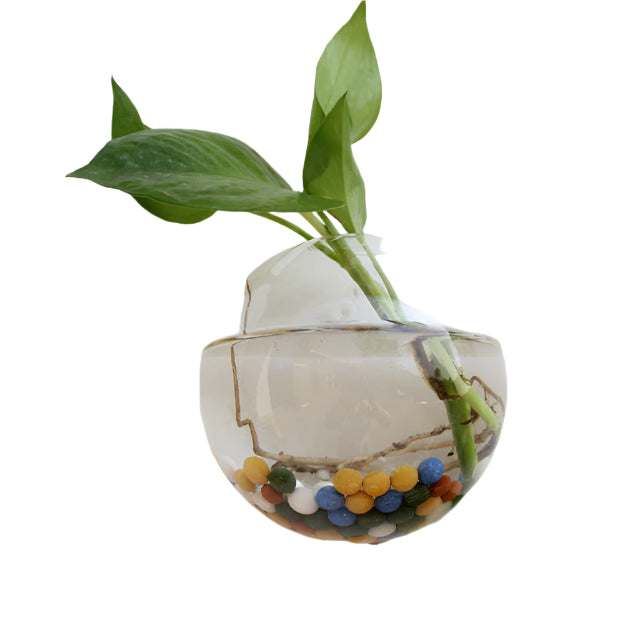 Fashion Wall Hanging Glass Flower Vase Terrarium Wall Fish Tank Aquarium Container Flower Planter Pots Home Garden Decoration-0