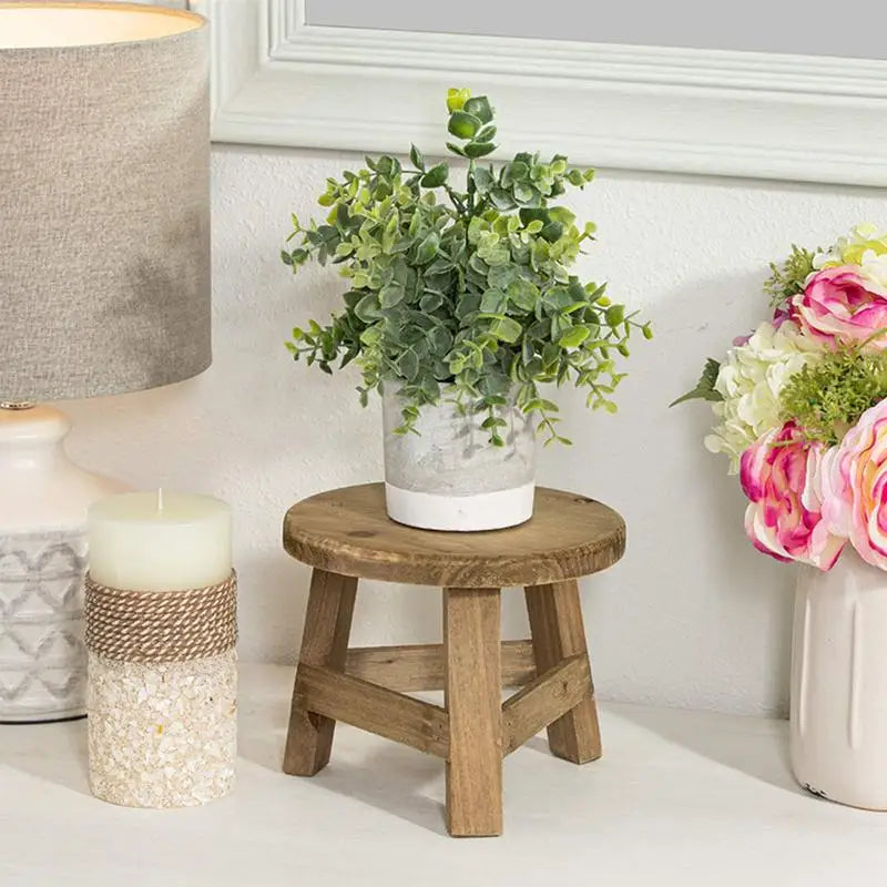 Wooden Mini Plant Stand Display - Multifunctional Home Decor Stool-1