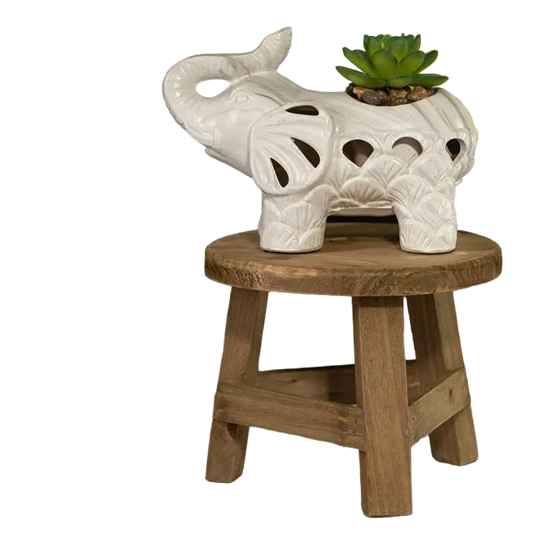 Wooden Mini Plant Stand Display - Multifunctional Home Decor Stool-0